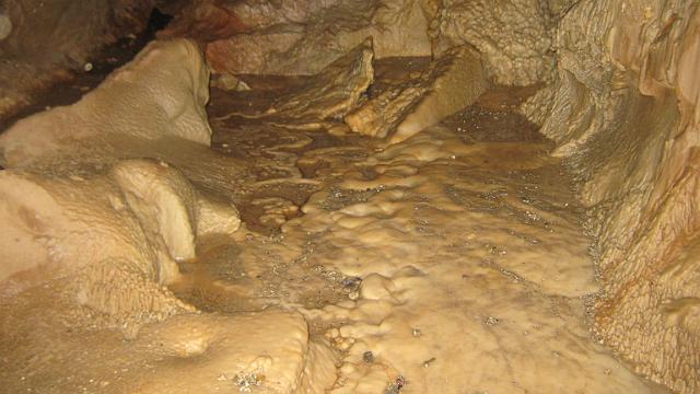 253_0104.JPG