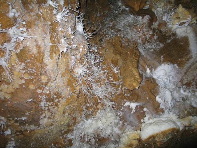 874_7446.JPG