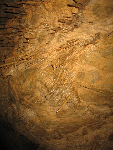 886_8649.JPG