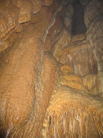 883_8310.JPG