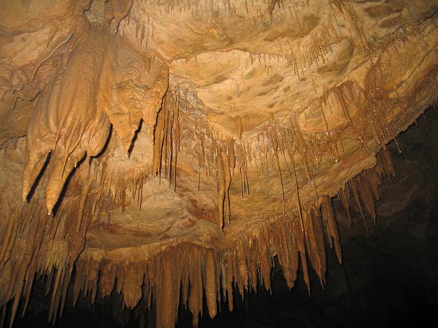 880_8054.JPG