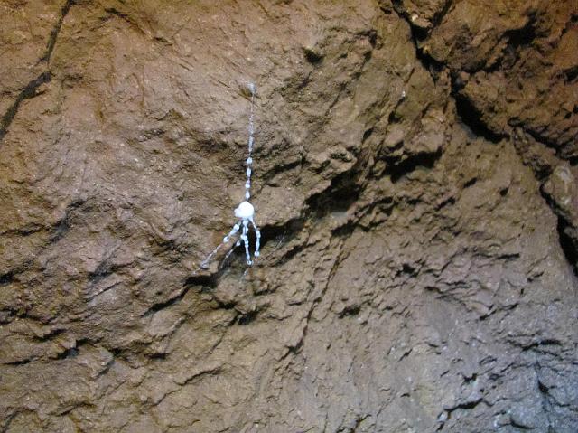 245_2916.JPG