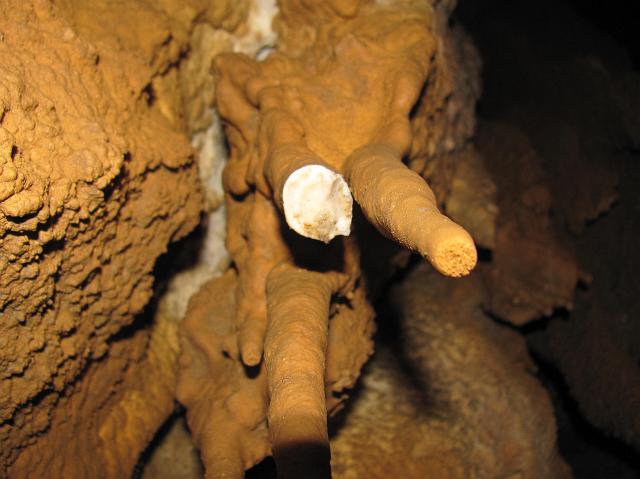 245_2920.JPG